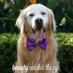 Meet your Posher, Biju